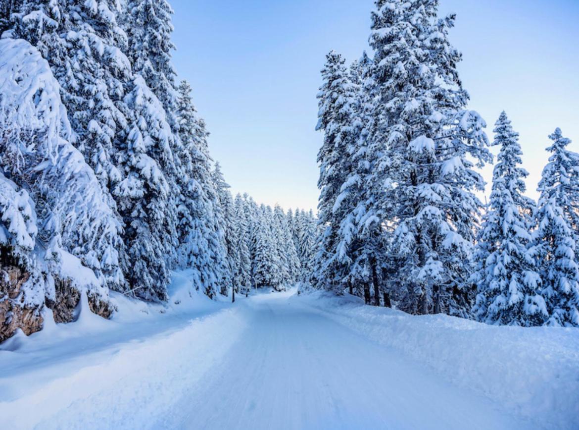 Zabljak Escape Villa Bagian luar foto