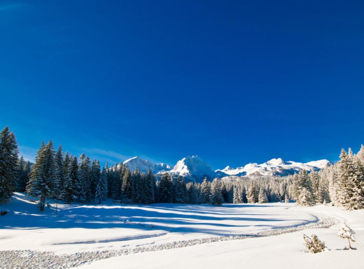 Zabljak Escape Villa Bagian luar foto