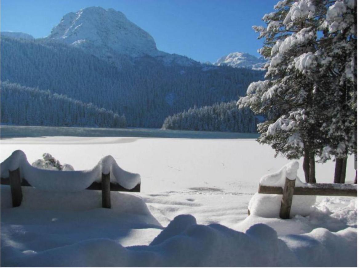 Zabljak Escape Villa Bagian luar foto