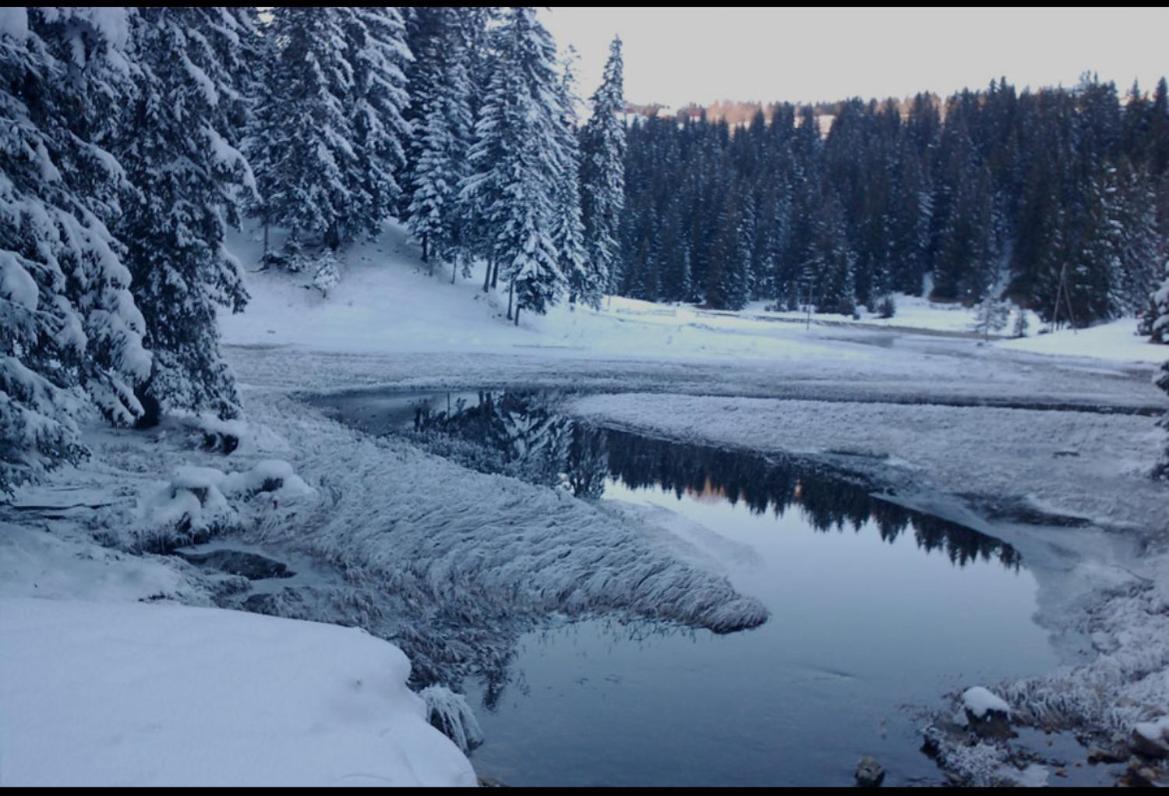 Zabljak Escape Villa Bagian luar foto